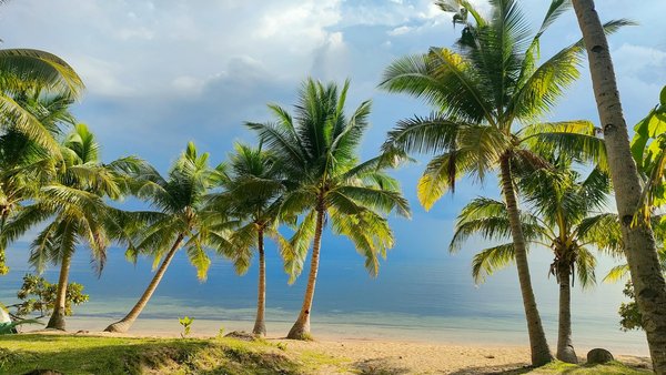 Ultimate guide to securing colosseum tickets for 2024